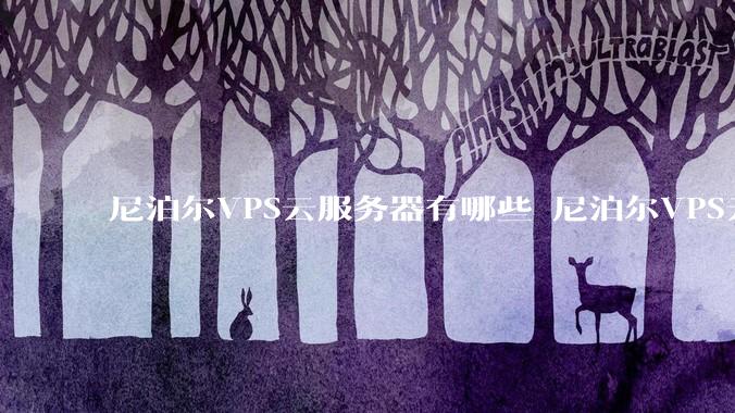 尼泊尔VPS云服务器有哪些 尼泊尔VPS云服务器多少钱 - *