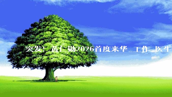 突发！黄仁勋2026首度来华_工作_医生_价值