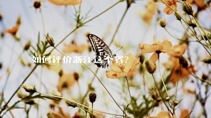 如何评价浙江这个省？