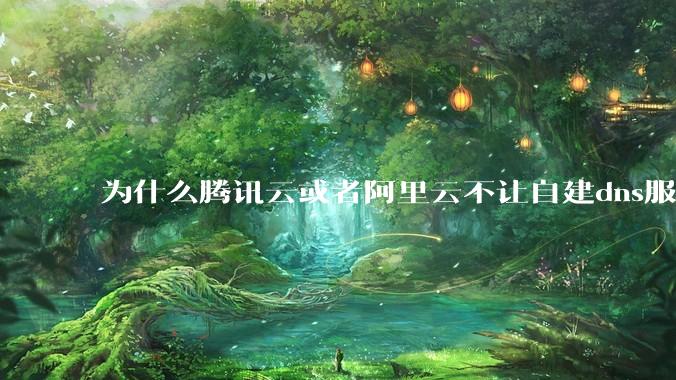 为什么腾讯云或者阿里云不让自建dns服务器?