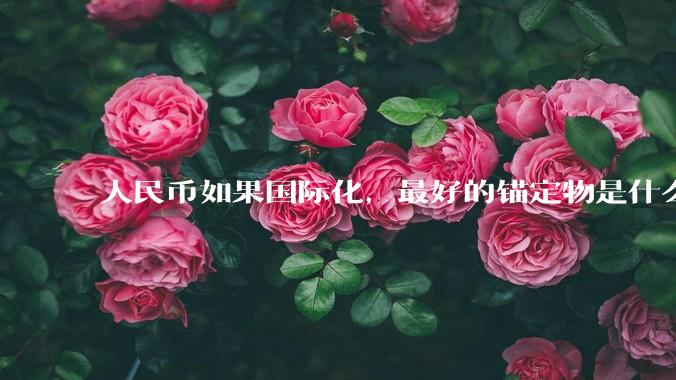 人民币如果国际化，最好的锚定物是什么呢？