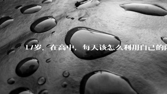 17岁，在高中，每天该怎么利用自己的闲暇时间提升画技？
